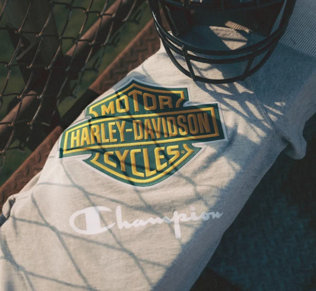 希少！！XL Champion vintage Harley-Davidson Champion x Harley-Davidson Fanatic T-Shirt - Grey Heather & Dark